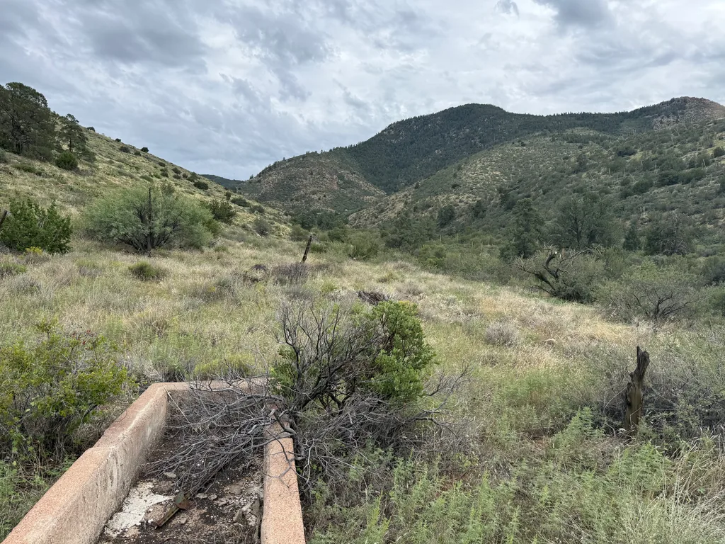 Low concrete trough filled with dead branches on a grassy slope below green brushy hills