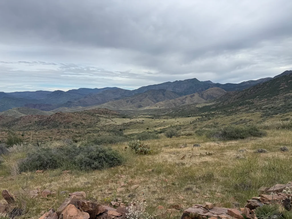 Grassy basin with a single prickly pear, low shrubs and red rock slabs, ridges under flat gray cloud
