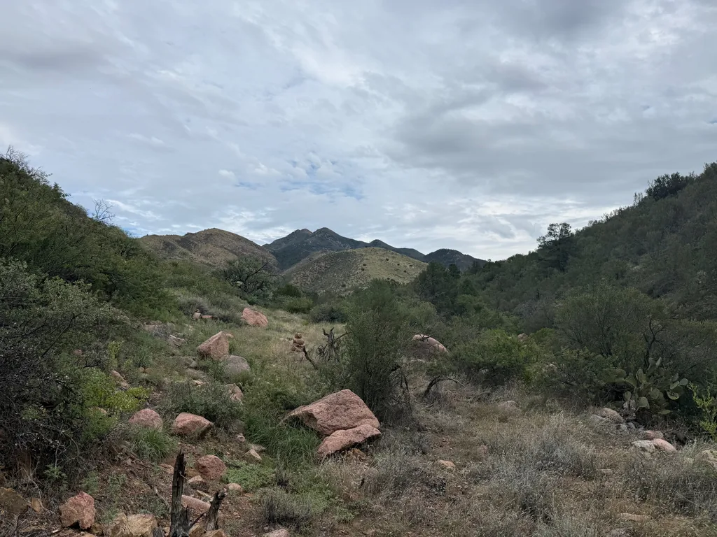 Pink boulders strewn through dry grass along a shallow draw between brushy slopes, prickly pear at right, peaks beyond under overcast sky
