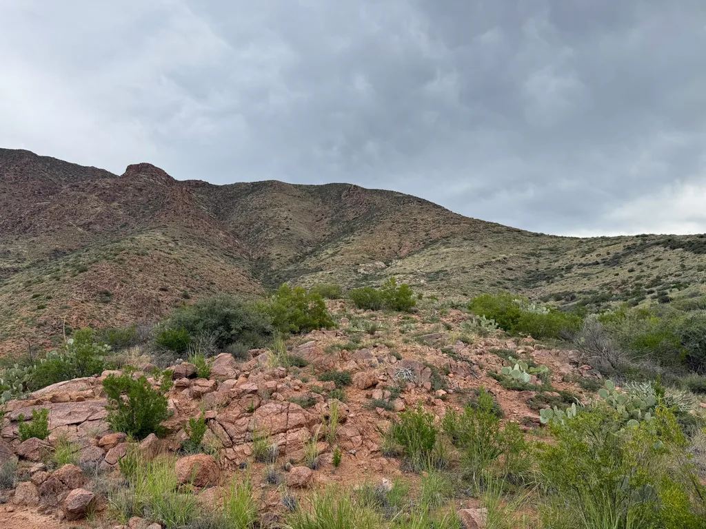 Slope of loose red rock with prickly pear clumps and grass below a green brushy ridge under flat gray cloud