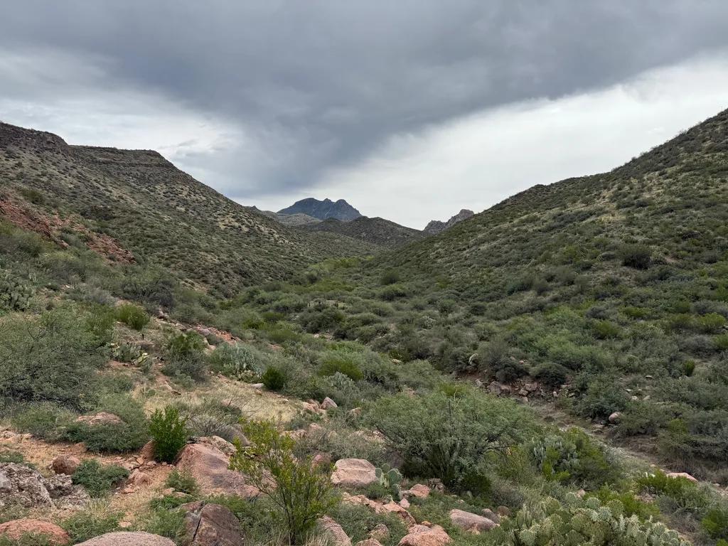 Brush-covered slopes frame a valley, with jagged blue peaks in the distance under flat grey cloud; pink boulders and prickly pear in the foreground