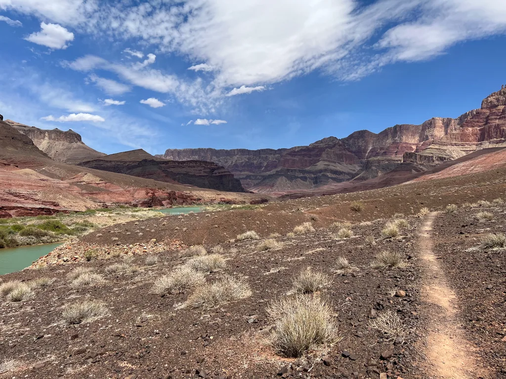 Sandy singletrack crosses a dark gravel bench of sparse bunchgrass toward banded red cliffs, with a jade-green river curving below