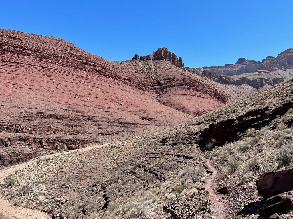 Narrow singletrack cut into a brushy slope above a dry wash, facing a banded red hillside with rock towers on its crest
