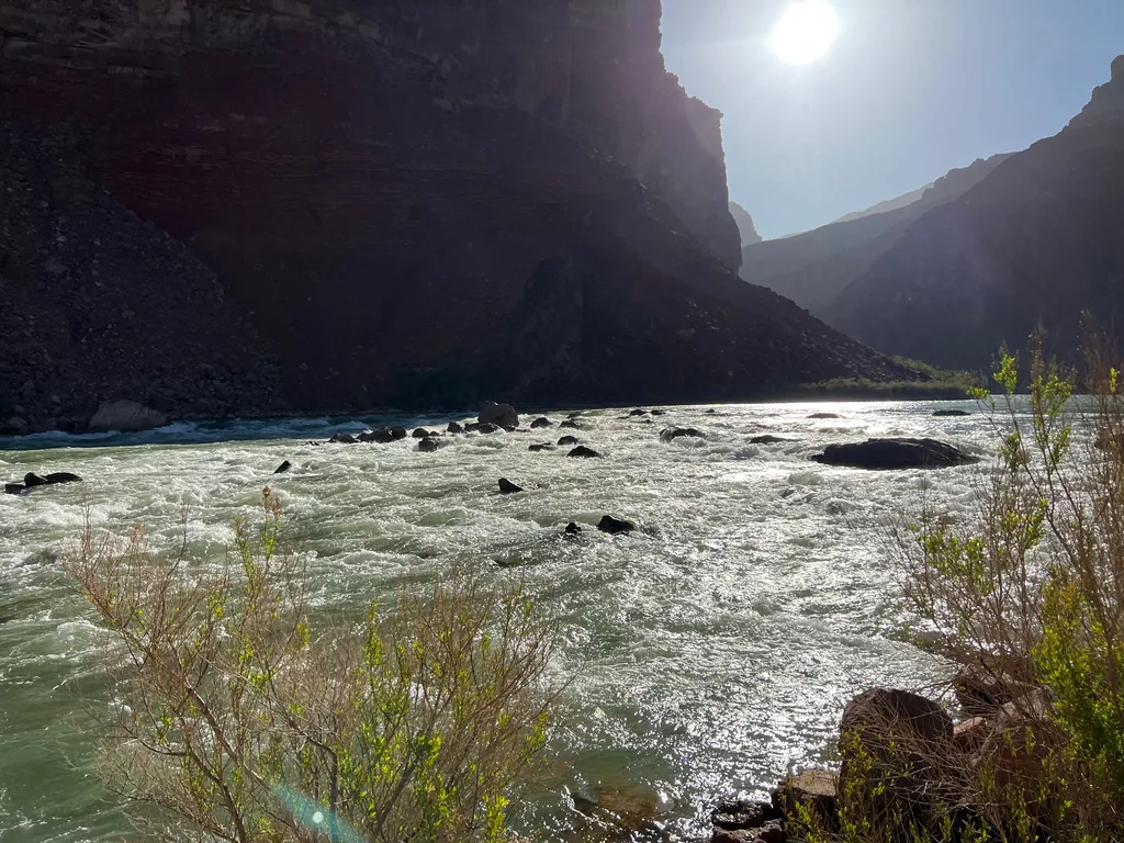 Sun low over dark canyon walls, backlighting a pale rapid breaking around scattered boulders; willow branches frame the near bank