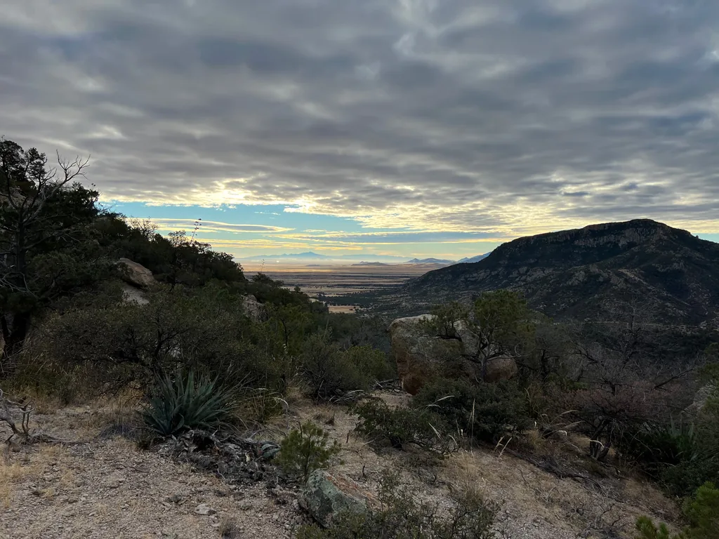 Agave rosette on a gravel slope above a wide tan valley, dark ridge at right under banded grey clouds