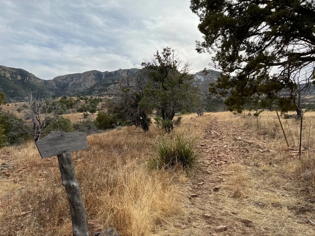 Weathered wooden arrow sign on a post beside a rocky trail through dry yellow grass, junipers and a cliff-topped ridge behind
