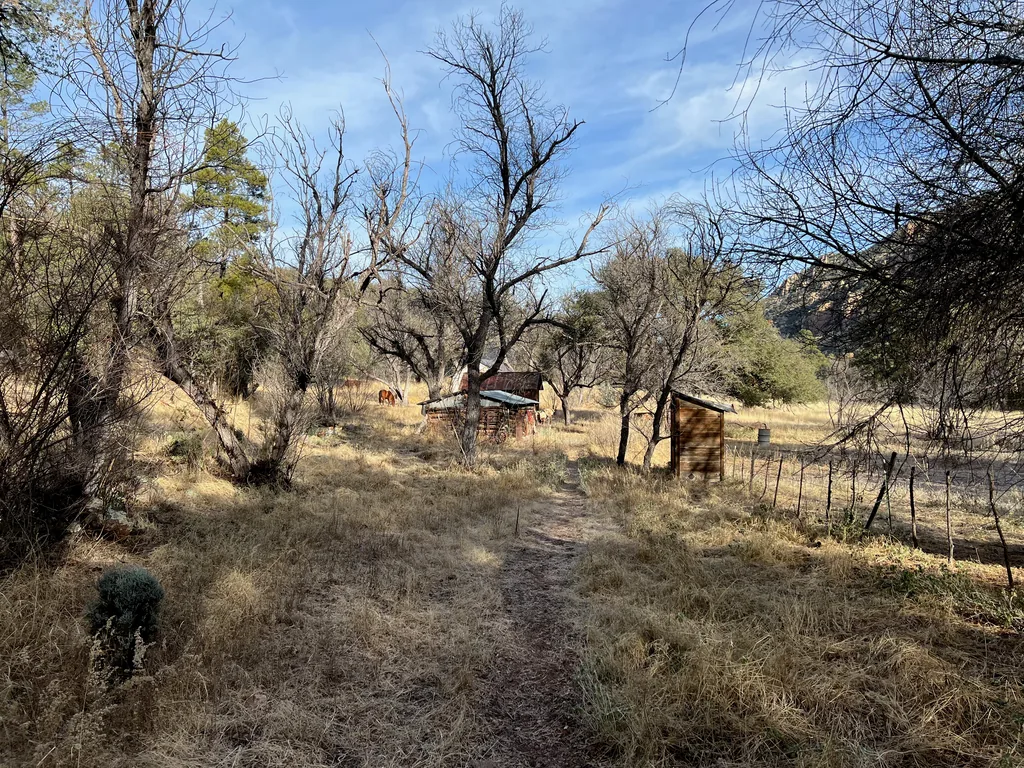 Small tin-roofed cabin and a plywood outhouse among bare trees, with a footpath through dry grass leading toward them