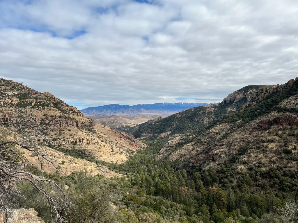 V-shaped canyon lined with pines and red rock outcrops, opening to a pale valley and low blue range under broken cloud