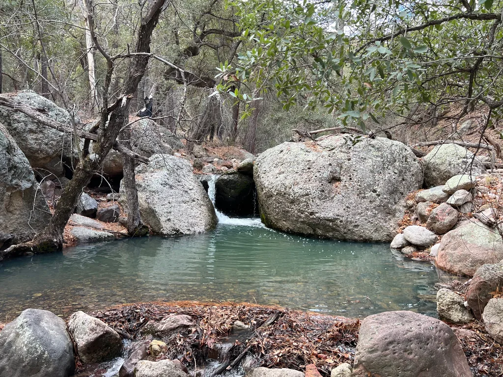 Water spills between two granite boulders into a green plunge pool ringed by rocks and leaf litter