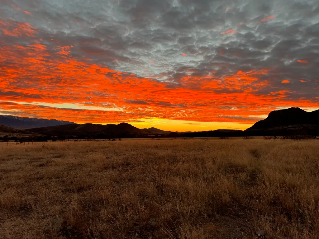 Dry golden grassland below a sky of red and grey mottled clouds, low dark hills on the horizon