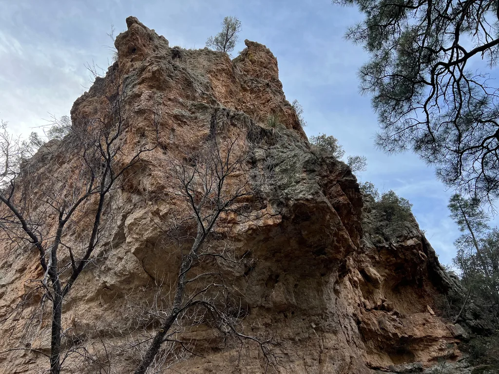 Orange rock outcrop with two pointed spires rising above bare blackened branches, pine boughs at right