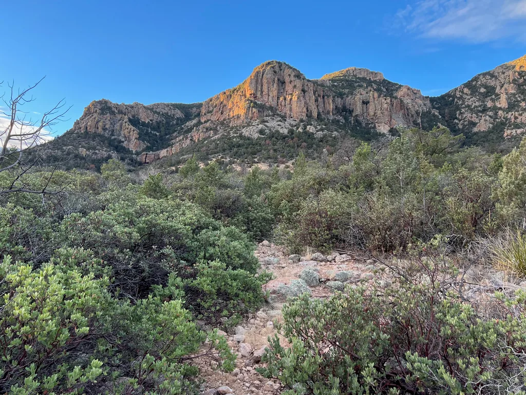 Rocky cliff band lit orange at the top while lower slopes sit in shade, above a rubbly path through dense green manzanita