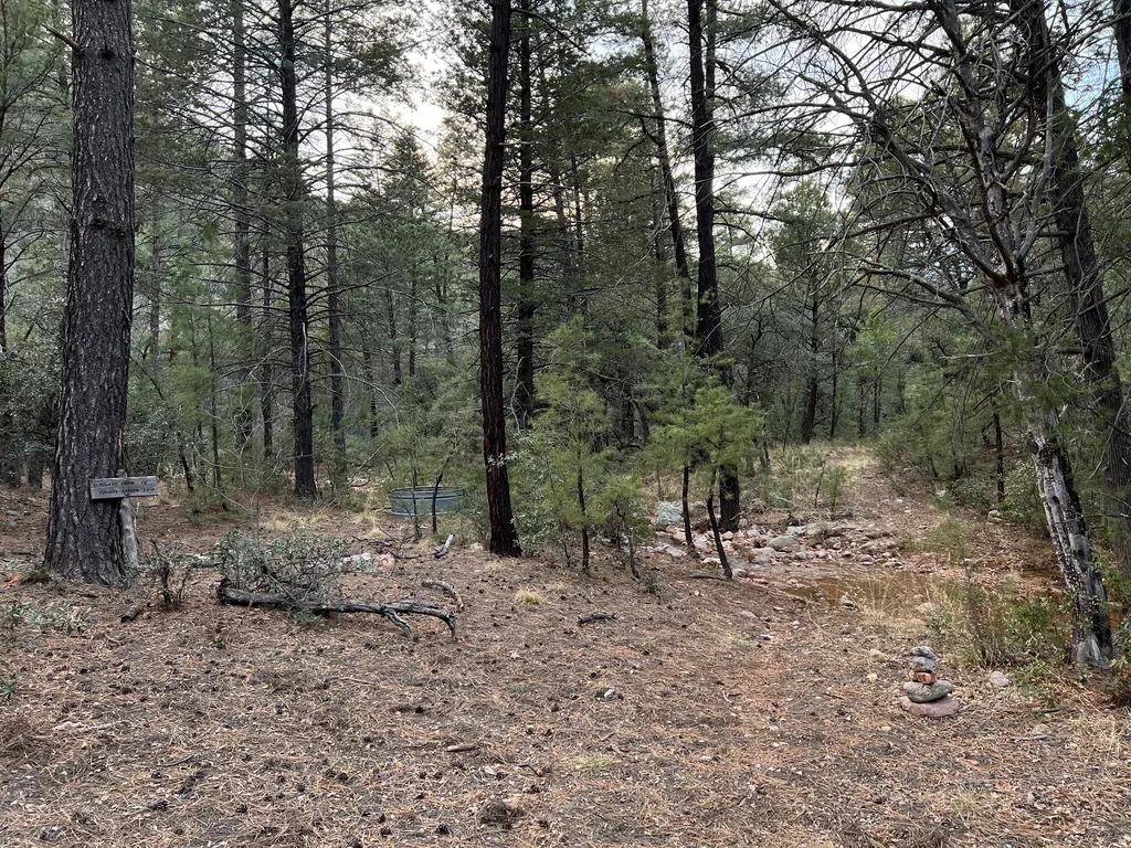 Small stacked-rock cairn on bare pine-needle ground, with a green metal water trough among pines behind