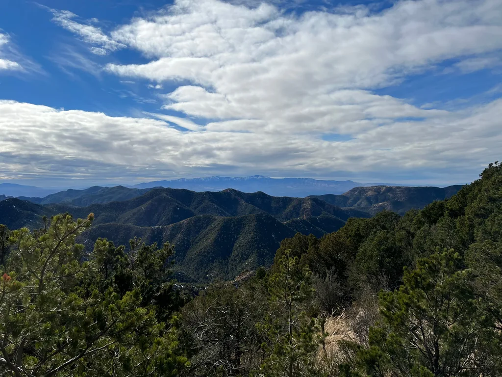 Layered pine-covered ridges dropping into a canyon, with a snow-streaked mountain range pale on the horizon under broken cloud