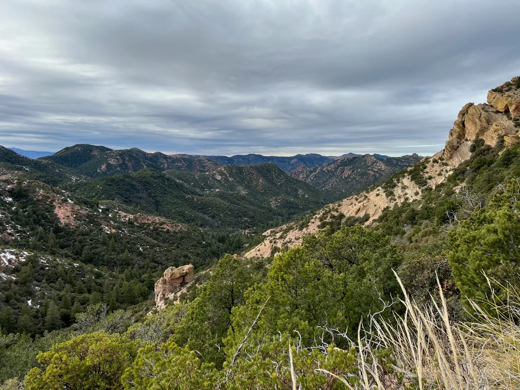 Wooded canyon under flat grey cloud, an orange rock outcrop below and snow patches in shaded gullies