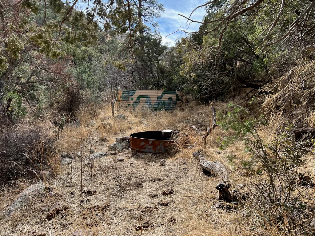 Rusted circular metal tank in dry grass, with a graffiti-covered concrete wall behind it among trees