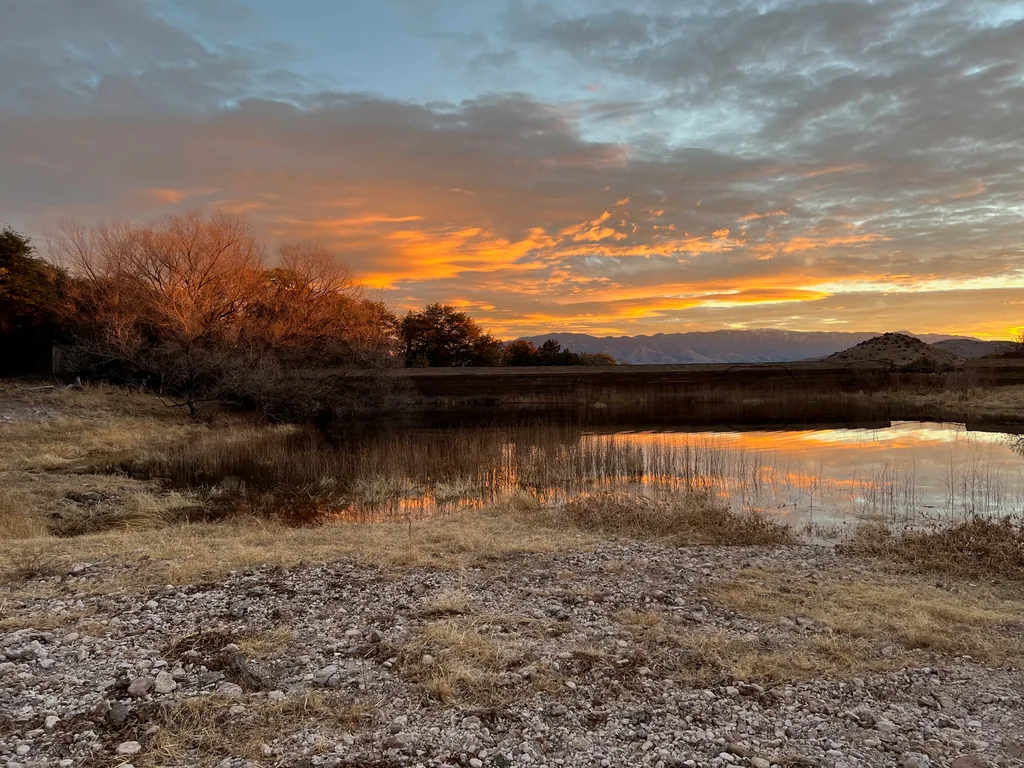 Orange sunset clouds mirrored in a still pond edged with dry reeds, bare trees and distant mountains beyond, rocky gravel bank in front