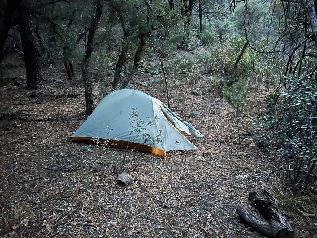 Grey and orange dome tent with vestibule open, pitched on pine needle ground among thin oaks in dim light
