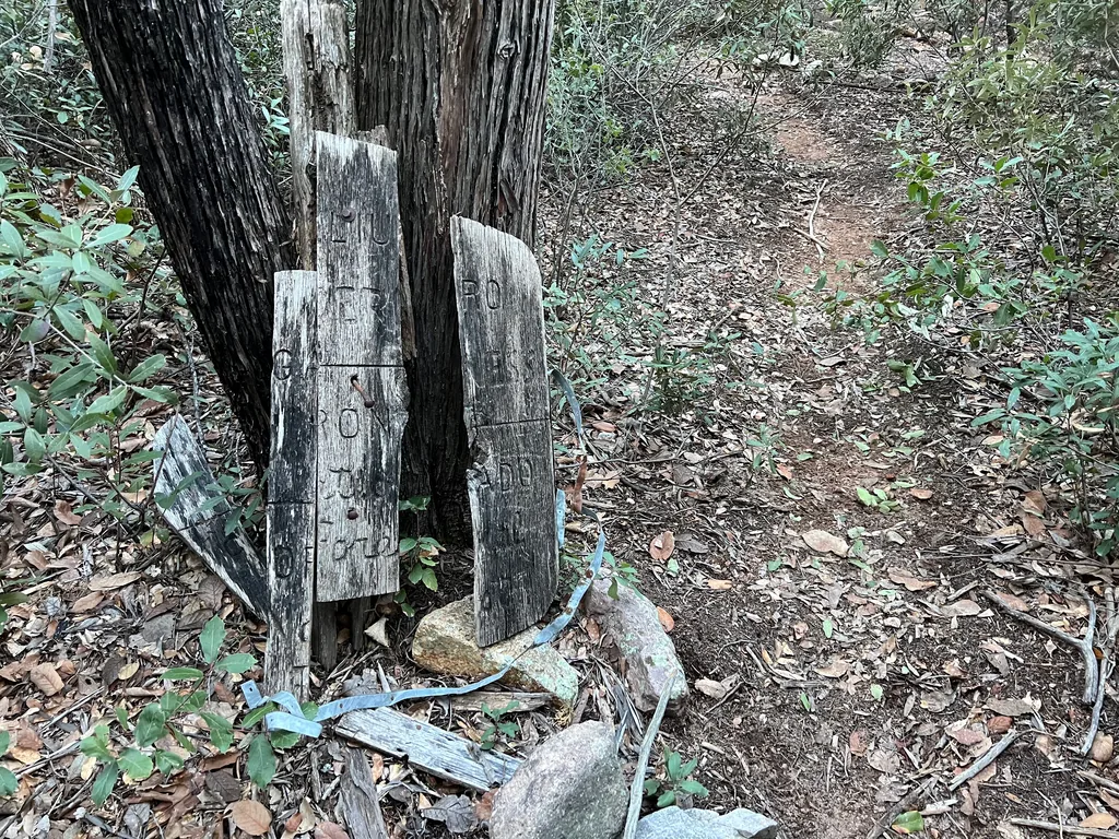 Two grey weathered boards with carved vertical lettering propped against a tree trunk, braced by rocks beside a leaf-covered trail