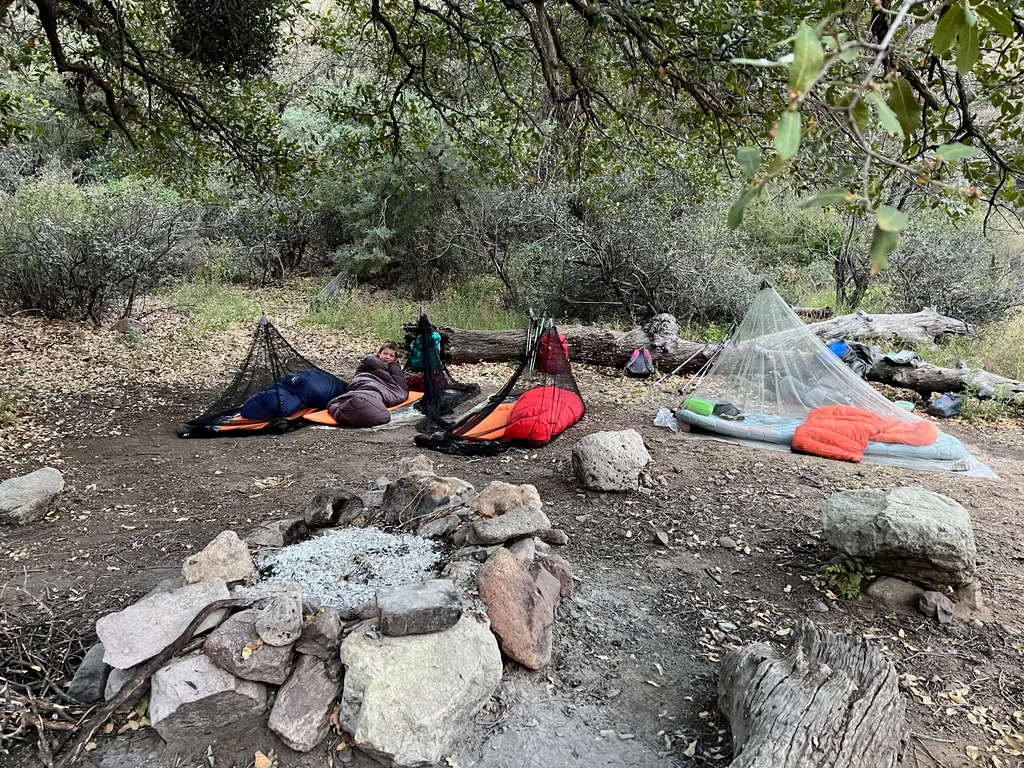 Three sleeping bags under mesh bug nets on bare ground beside a log, with a ring of stones holding white ash in the foreground