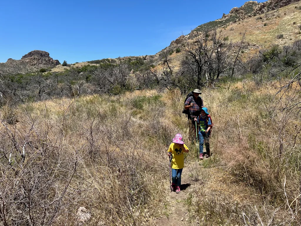 Girl in yellow shirt and pink hat leads two hikers down a narrow trail through dry grass and blackened brush, rocky ridge behind