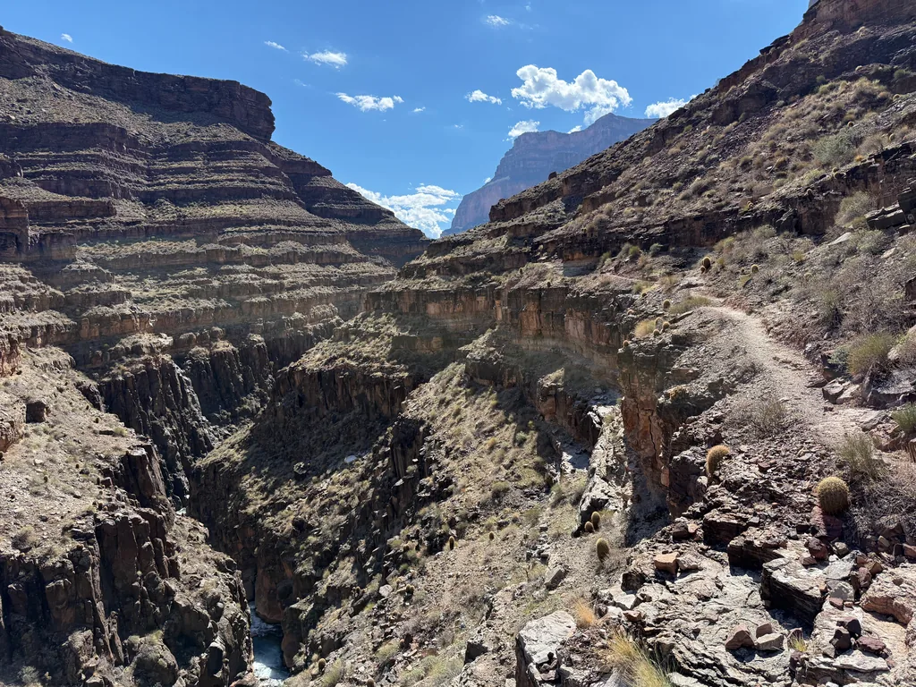 Narrow trail along a rocky slope with orange barrel cacti, above a dark slot gorge with a green creek below
