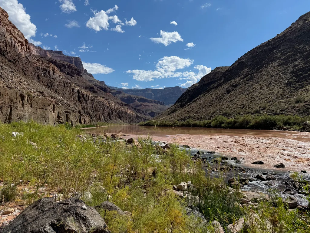 Wide silt-red river bending through a canyon, with a clear rocky side stream entering at right and green brush along the near bank
