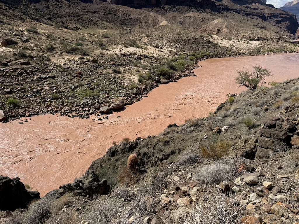 Opaque orange-brown river bending through a rocky canyon floor, with a barrel cactus on the near slope