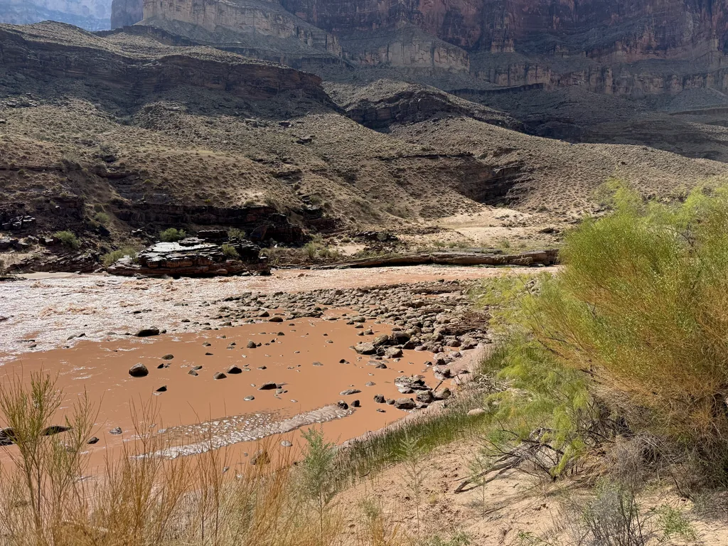 Orange-brown silty river curving past a rocky bar, with green shrubs and layered canyon walls behind
