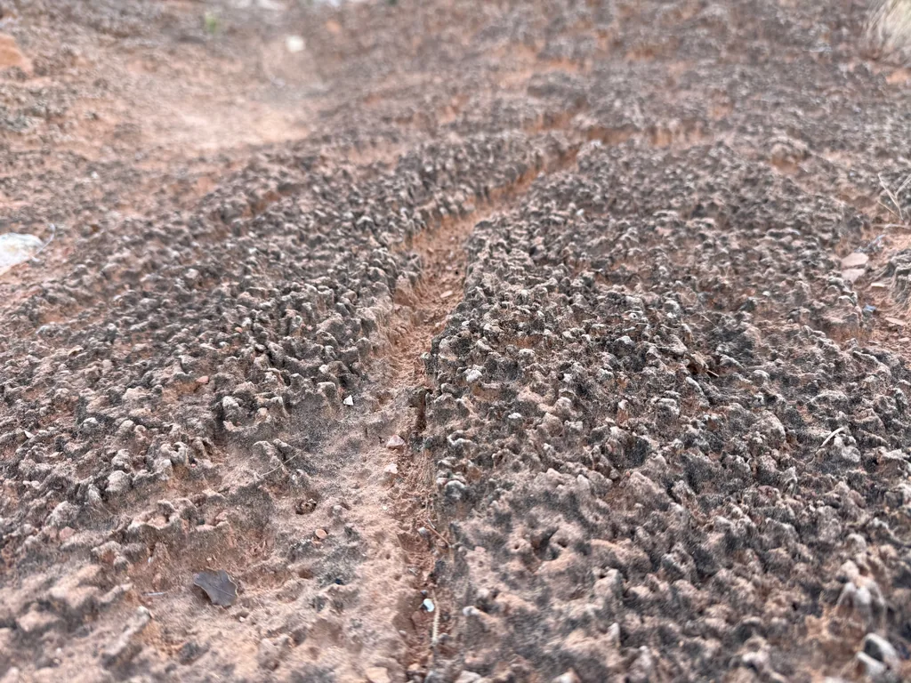 Narrow smooth groove cutting through dark knobby soil crust of reddish sand and pebbles