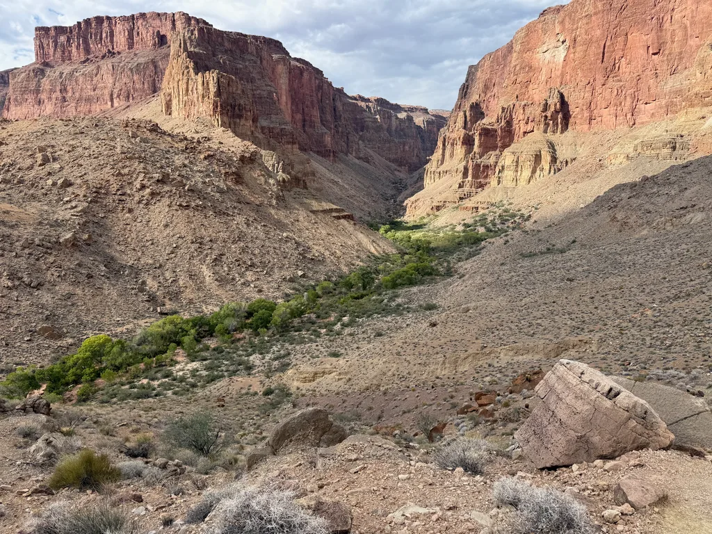A ribbon of green brush winding up a dry gravel drainage between red sandstone cliffs, pale boulder in foreground