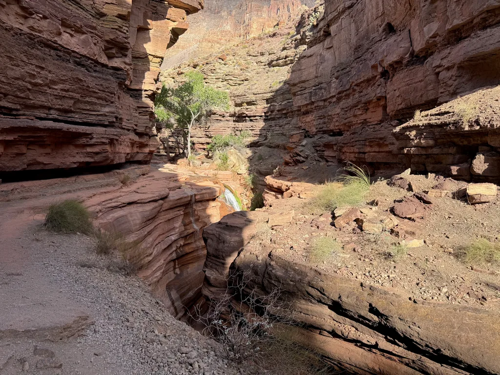 Narrow slot cut into banded red rock, water-polished walls curving down to a shaded gap, single green tree above