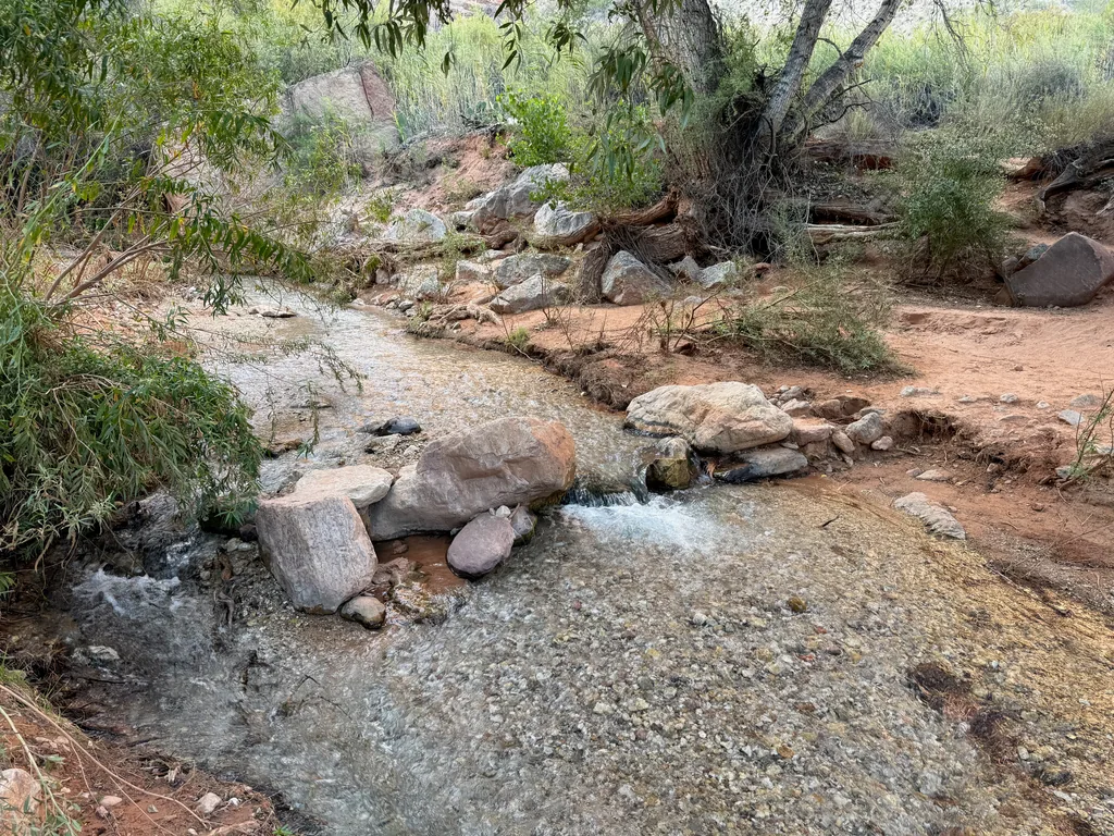 Shallow creek running over pale cobbles, with large pink boulders set as a line of stepping stones and water spilling between them