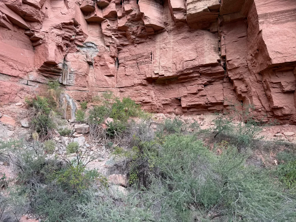 Pale mineral streak running down a layered red sandstone cliff above green shrubs and loose rock