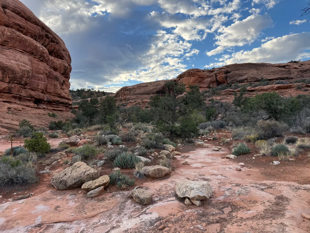 Pale slickrock shelf with scattered boulders and blue-green agave clumps below red sandstone walls and junipers, broken clouds above