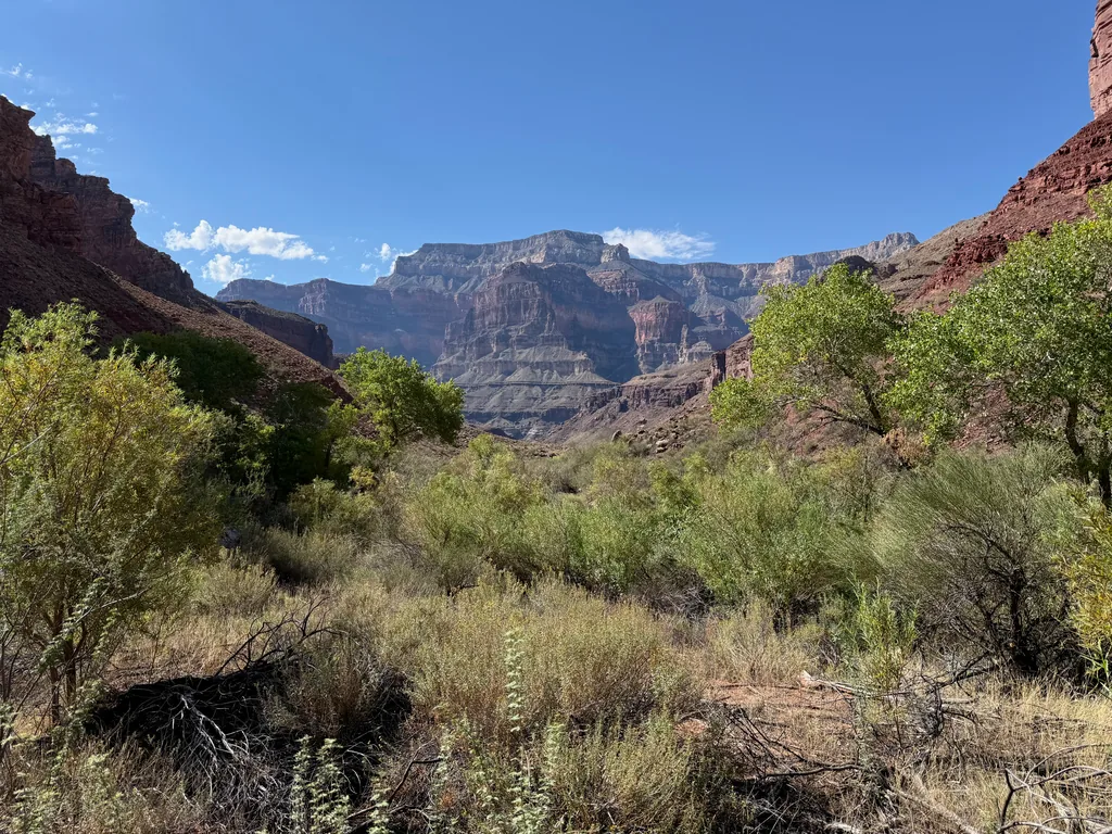 Green shrubs and small trees crowd a canyon floor below banded red and gray cliffs under blue sky