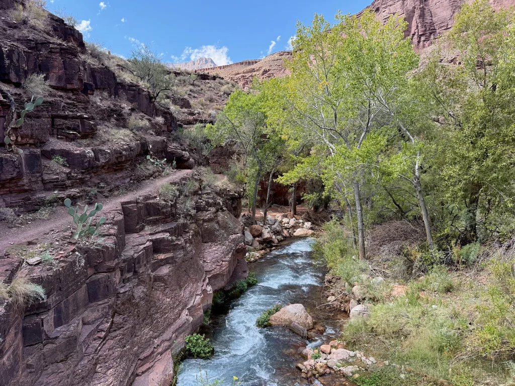 Narrow trail cut along a red rock ledge with prickly pear, above a fast creek lined with cottonwoods