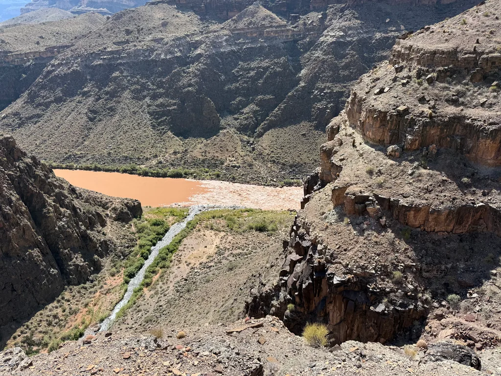 Opaque orange-brown river in a canyon, with a pale gravel creek bed and green brush joining it from below
