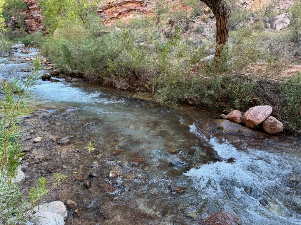 Shallow creek over brown cobbles, whitewater riffle at right beside pink boulders and willow thicket