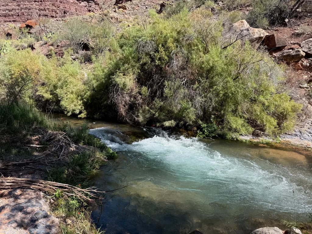 Pale turquoise creek churning white over a small drop into a clear pool, tamarisk thickets on the far bank below red rock slopes