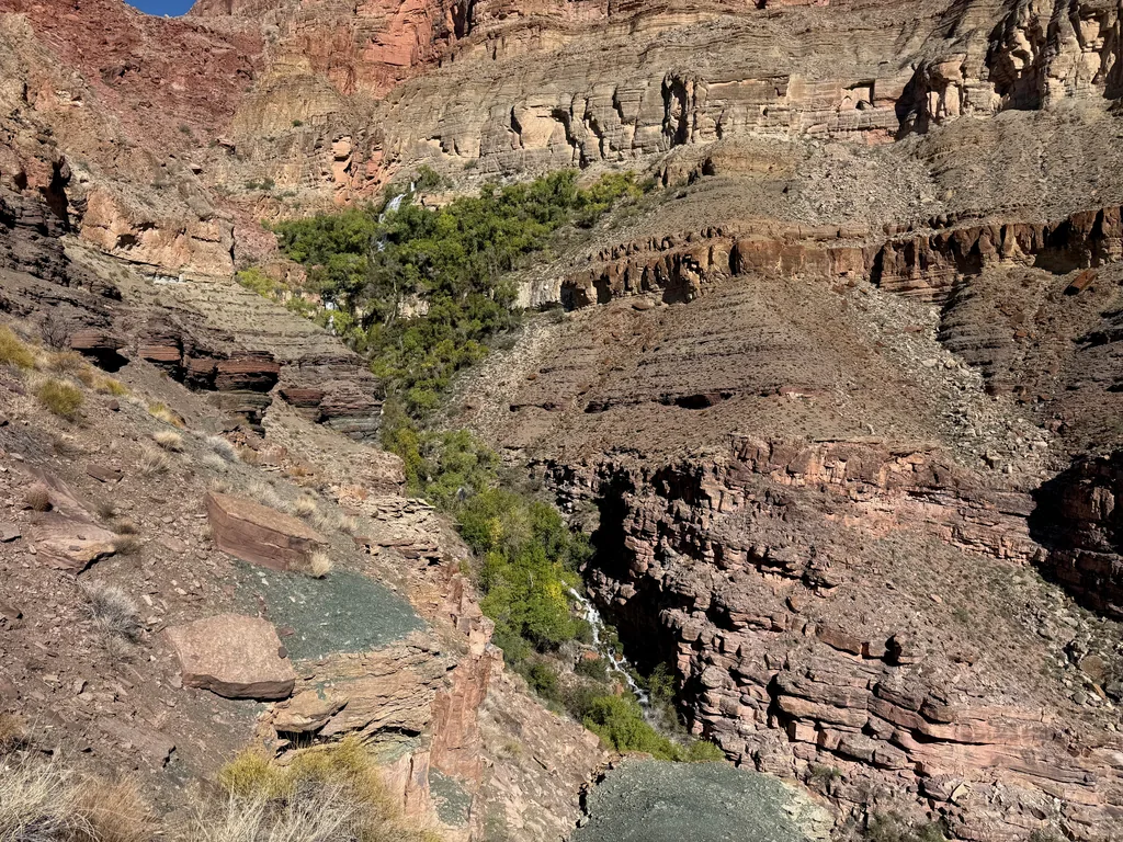 Narrow band of green trees tracing a creek down a bare red canyon of layered rock ledges