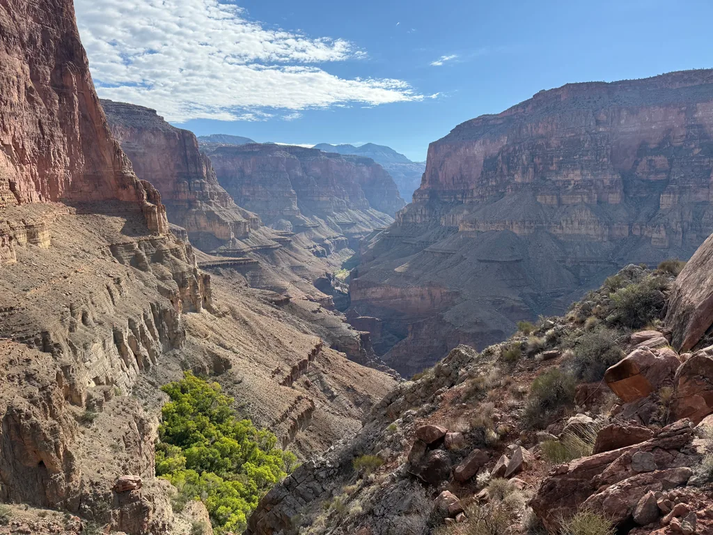 A cluster of bright green cottonwoods on a pale ledge below red cliffs, with a deep side canyon narrowing into haze beyond