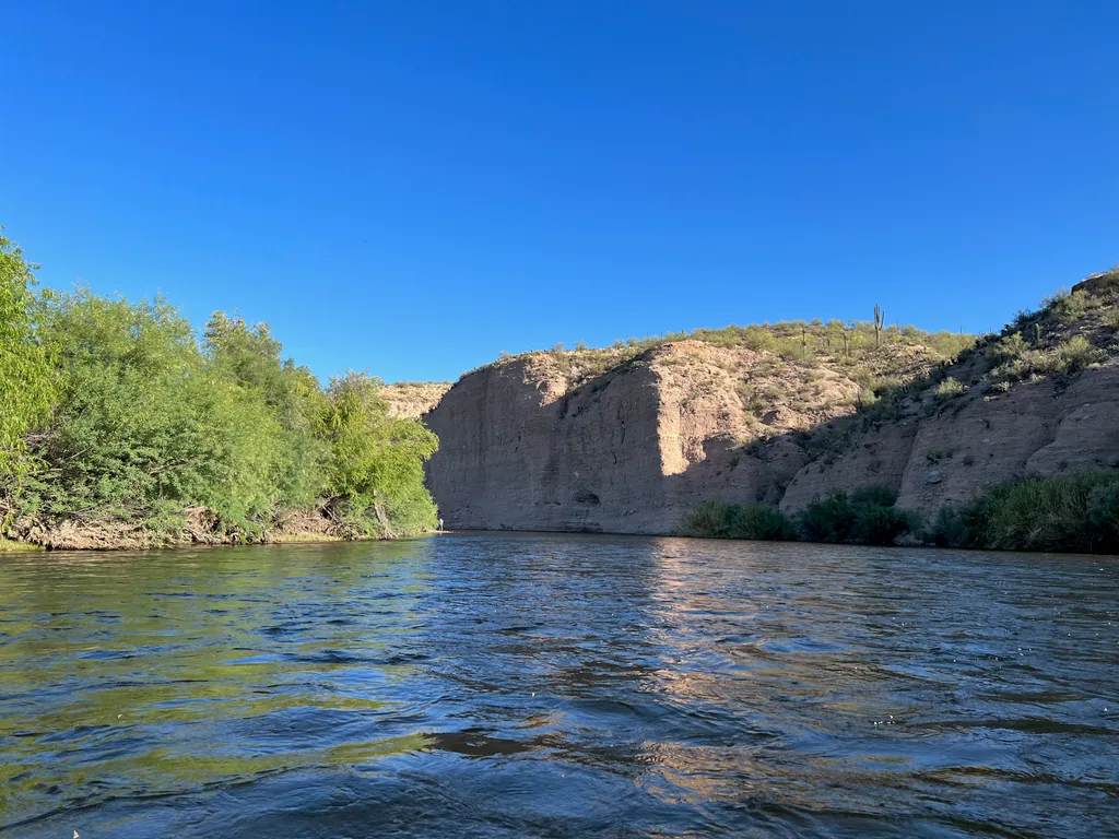 Tan layered cliff above a river bend, a saguaro on the skyline, green willows along the left bank